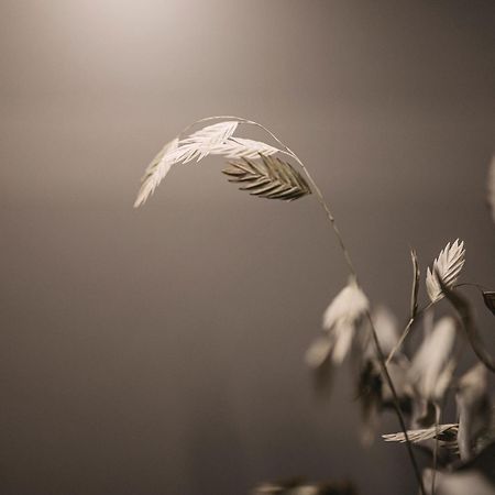 Leitnerhof 호텔 람자우 임 질러탈 외부 사진